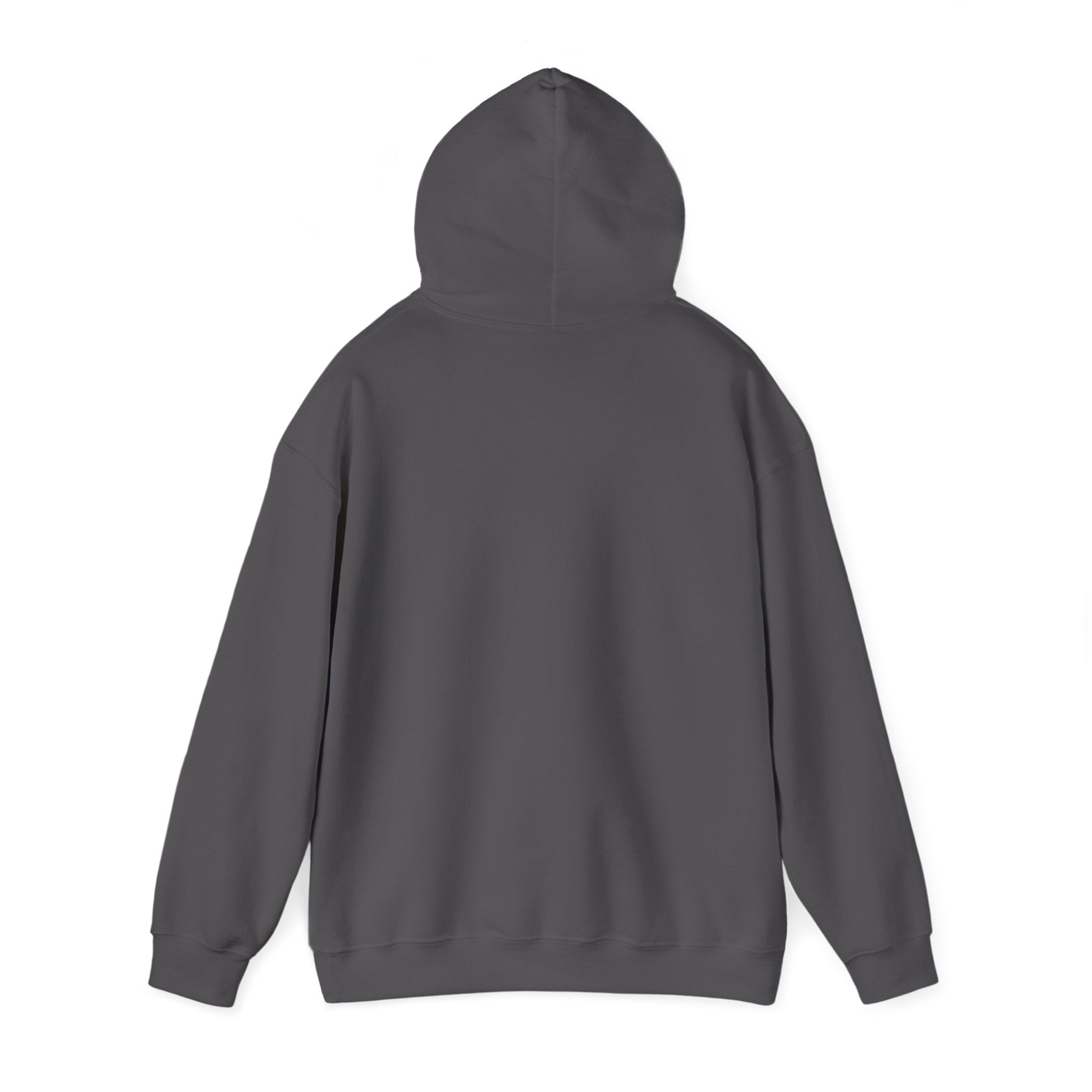 Excelsior Auto Cycle 1907 Vintage Men's Hoodie