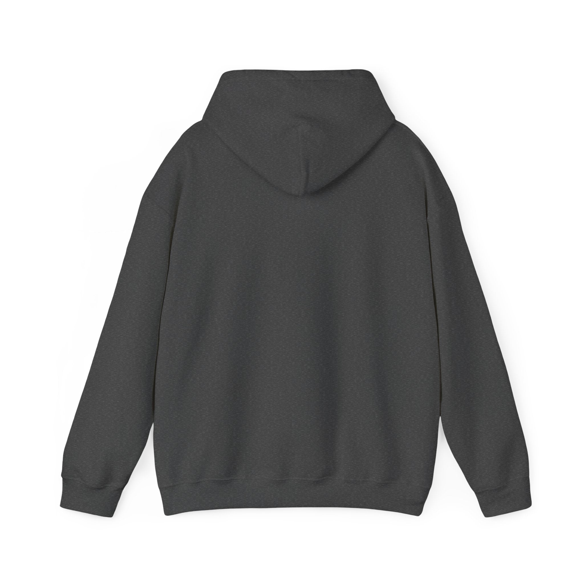Excelsior Auto Cycle 1907 Vintage Men's Hoodie
