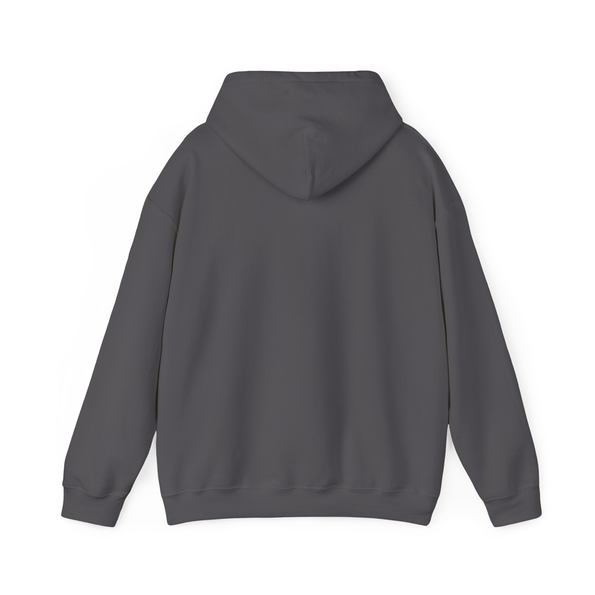 Excelsior Auto Cycle 1907 Vintage Men's Hoodie