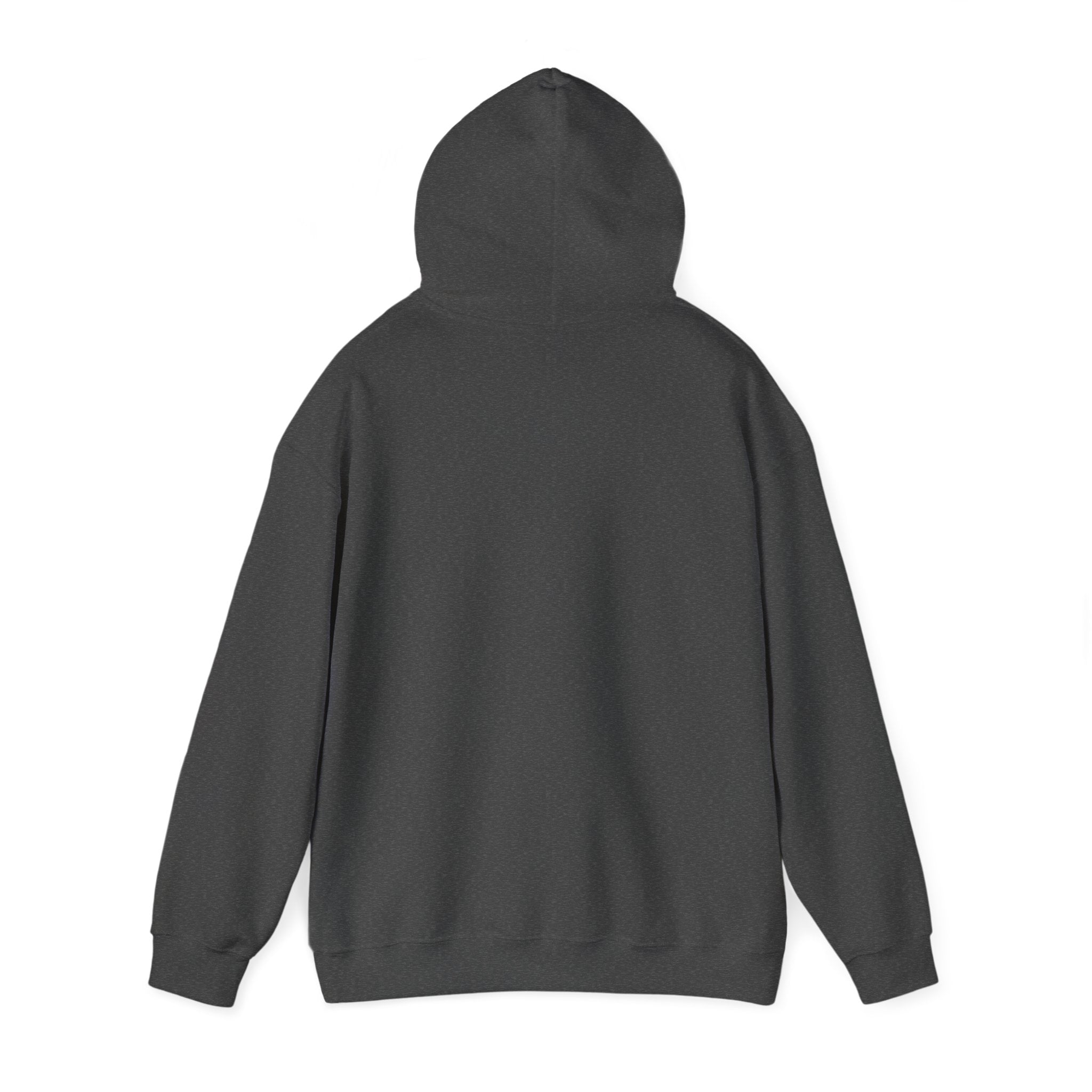 Excelsior Auto Cycle 1907 Vintage Men's Hoodie