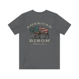 American Bison 1872 Vintage Men's T-Shirt