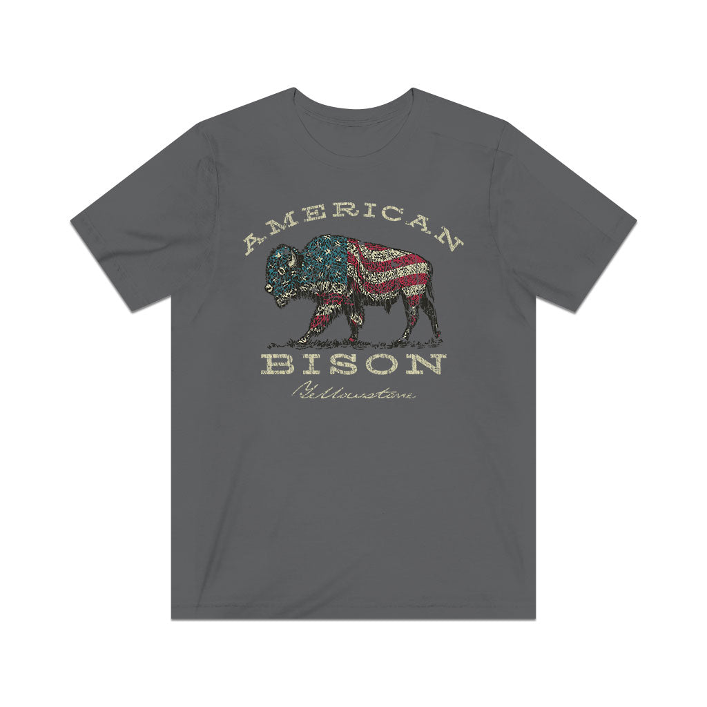 American Bison 1872 Vintage Men's T-Shirt