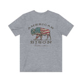 American Bison 1872 Vintage Men's T-Shirt