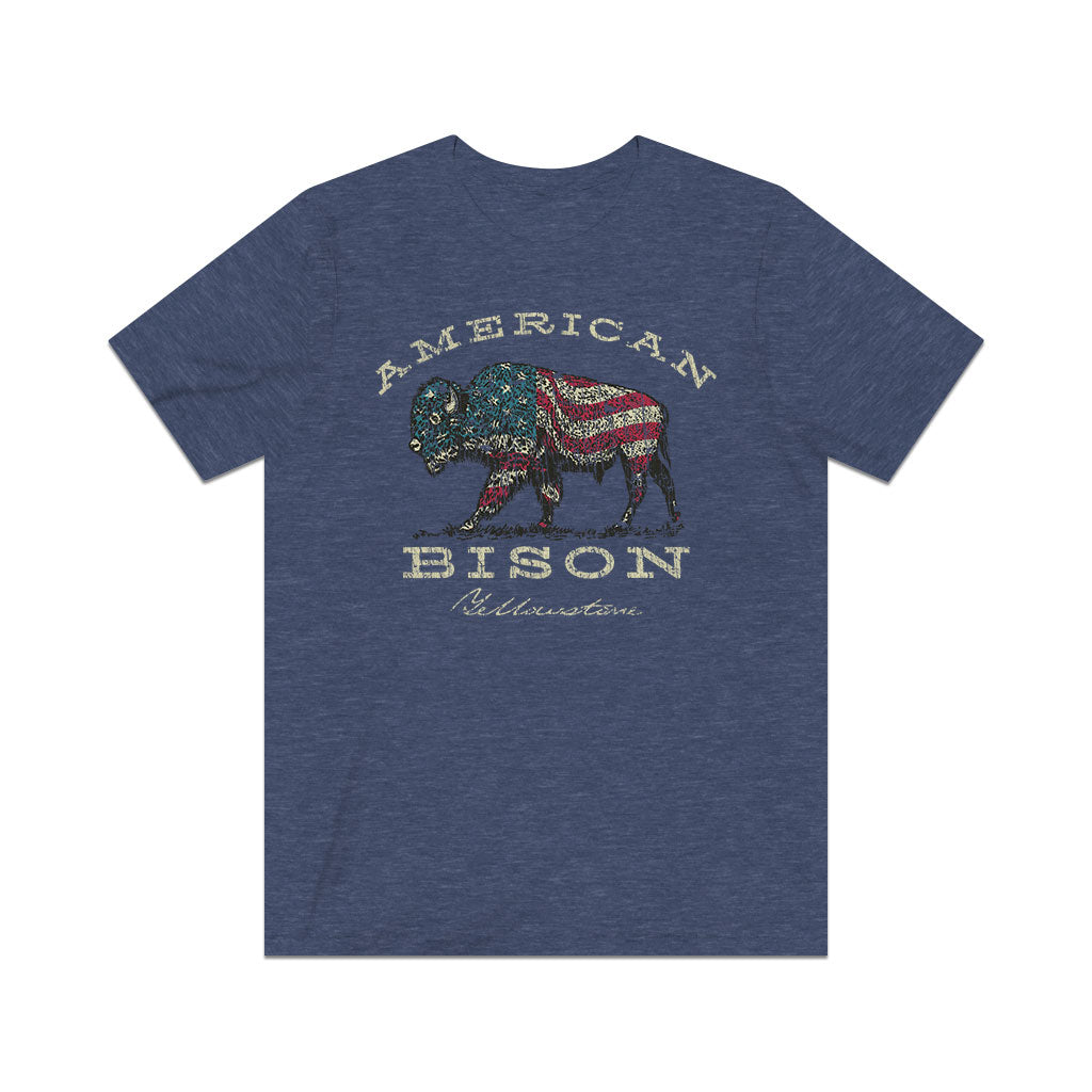 American Bison 1872 Vintage Men's T-Shirt