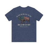 American Bison 1872 Vintage Men's T-Shirt