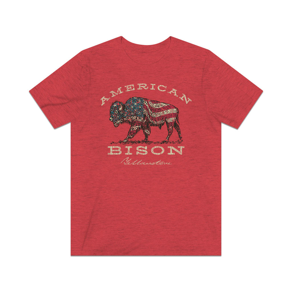 American Bison 1872 Vintage Men's T-Shirt