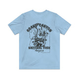 Grand Canyon National Park 1919 Vintage Men's T-Shirt